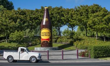 Motels in Paeroa