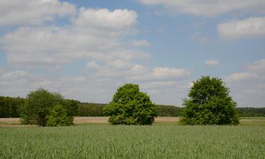 Family Hotels in Babenhausen