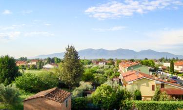 Holiday Rentals in Marlia