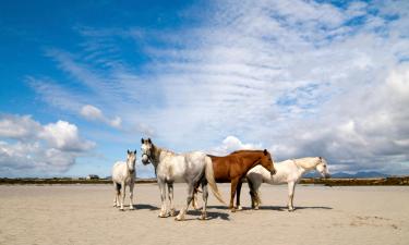 Holiday Rentals in Carna