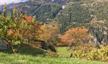 Hoteluri în Trient