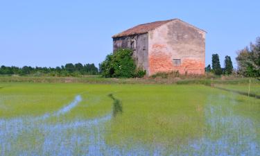 Hoteles baratos en Cona