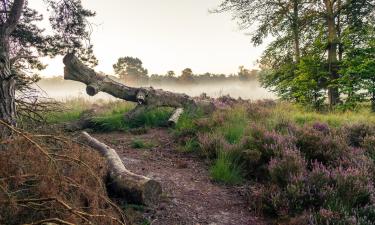 Bed and breakfasts v destinaci Zundert