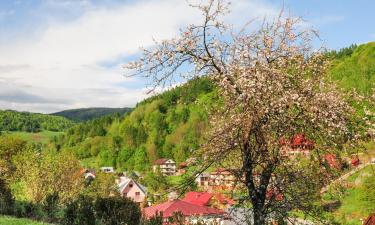 Ski Resorts in Żegiestów