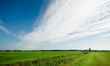 Cottages in Wijnjewoude