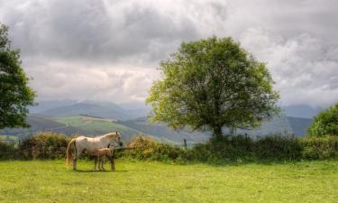 Apartments in Tineo