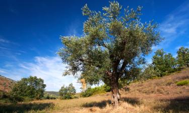 Holiday Rentals in Cajados