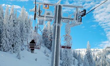 Hotels in Jahorina