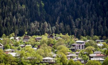 Hoteles en Borjomi