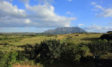 Alquileres vacacionales en Irgoli