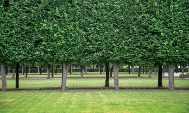 Hoteles con parking en Bardenhagen