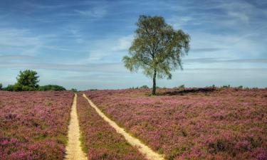 Bed and breakfasts en Wezep