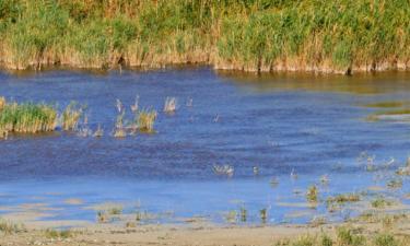 Hoteller i Neusiedl am See