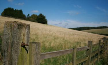 Bed and breakfasts en Woodhall Spa