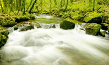 Casas y chalets en Lostwithiel