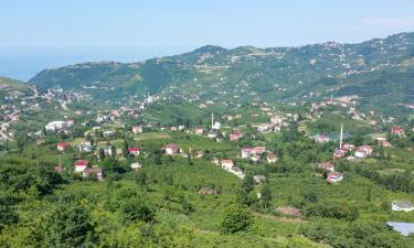 Holiday Rentals in Yeşilova