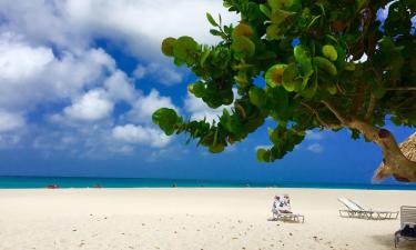 Hoteles en Palm-Eagle Beach