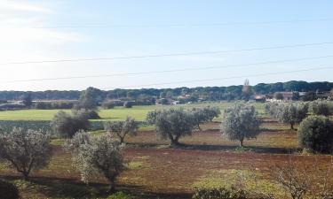 Hotely s parkovaním v destinácii Palidoro