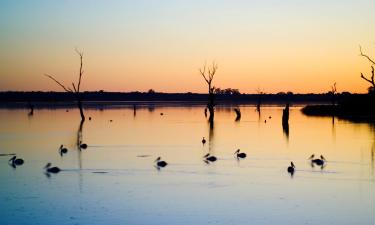 Hoteles en Barmera