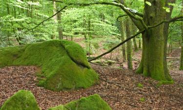 Hytter i Corrèze