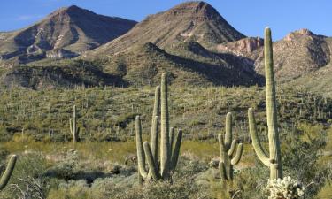 Hotels mit Parkplatz in Eloy