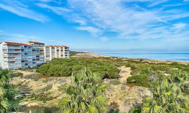 Apartments in La Marquesa