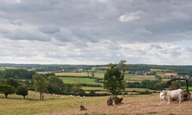 Ferieboliger i Beaurainville