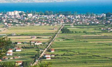 Hotels in Pogradec