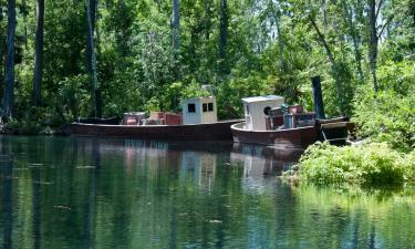 Hoteles en Silver Springs