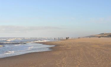 Alojamientos en la playa en 's-Gravenzande