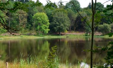 Family Hotels in Kronenburg