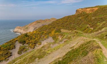 Beach rentals in Hinderwell