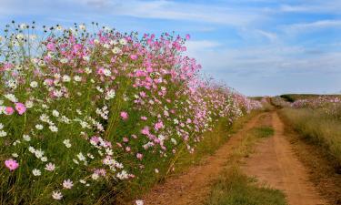 Homestays in Lichtenburg