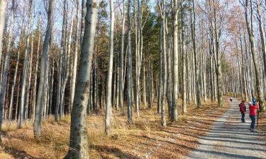 Hotels amb aparcament a Morávka