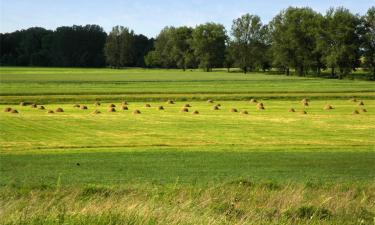 Hoteli u gradu 'Cröffelbach'