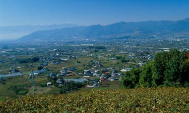 Hotels with Parking in Koshu