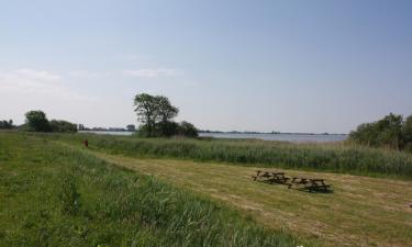 Cottages in Delfstrahuizen