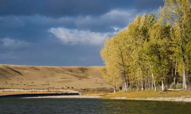 Hotels with Parking in High River