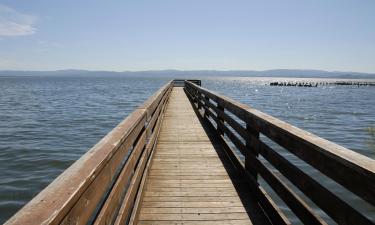 Hôtels acceptant les animaux domestiques à Upper Lake