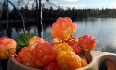 Hoteles familiares en Meltosjärvi