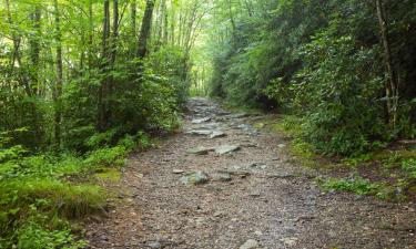 Hoteli u gradu Rounok Rapids