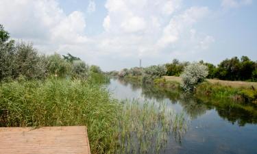 Ferieboliger ved stranden i Dunavăţu de Jos