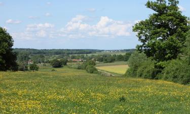 Pigūs viešbučiai mieste Orchamps-Vennes