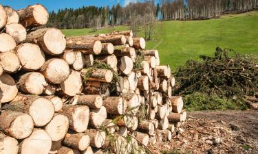 Hôtels pour les familles à Hergiswil