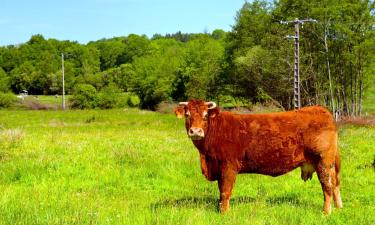 Porodični hoteli u gradu Châteauneuf-la-Forêt