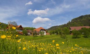 Hoteles con estacionamiento en Konigsfeld