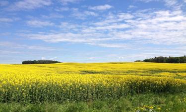 ที่พักให้เช่าในJabłonowo