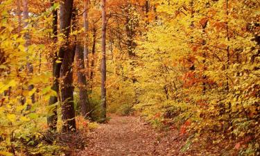 Thaon-les-Vosges şehrindeki otoparklar