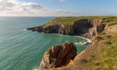 ที่พักให้เช่าในCastlemartin