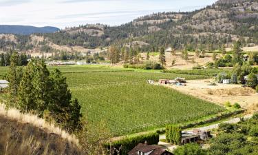 Hoteles familiares en Cawston